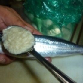 塩麹de旬トビウオの塩焼き レシピ 作り方 By Tententen48 楽天レシピ 塩麹de旬トビウオの塩焼き レシピ 作り方 By Tententen48 楽天レシピ